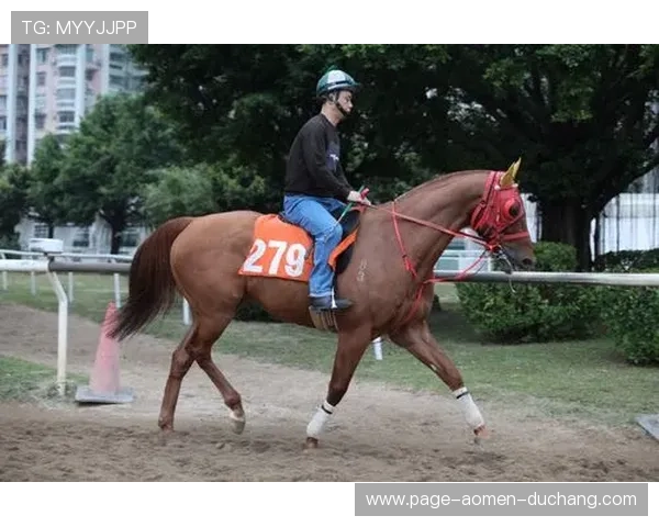 澳门赛马规则中的奖金分配机制及其对赛马队伍的激励作用 澳门赛马规则中的奖金分配机制及其对赛马队伍的激励作用