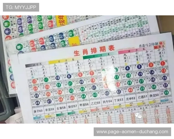 六合彩官网地址更新公告，官方平台最新入口信息及安全提示全解析