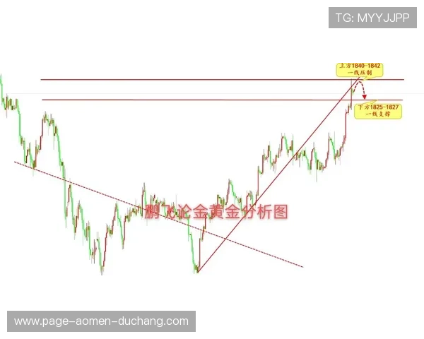 开云真人怎么玩最全面，详细步骤与玩法规则解析推荐