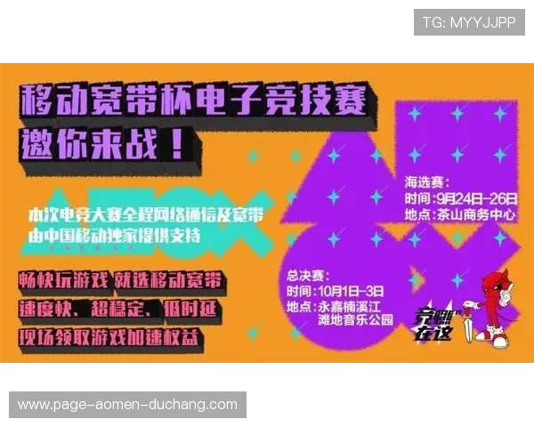 新澳门彩中奖技巧分享，提升中奖率的实用策略和方法
