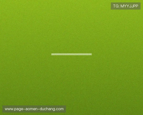 澳门银河娱乐集团有限公司的企业文化与社会责任实践对行业发展的积极影响